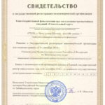 Свидетельство о гос регистрации некоммерческой организации