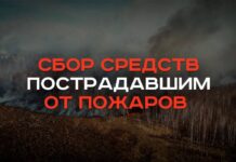 Организован сбор средств для помощи пострадавшим от пожаров