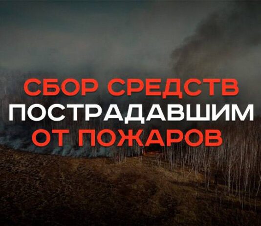 Организован сбор средств для помощи пострадавшим от пожаров